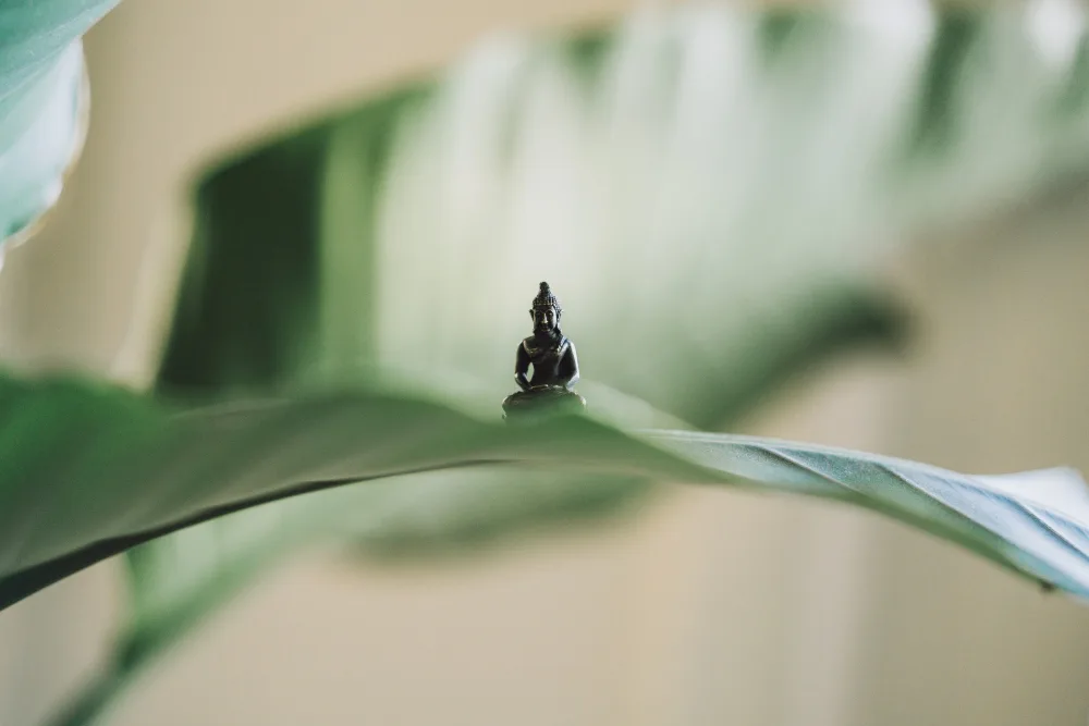 Buddha Quotes on Life for Inspiration
